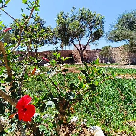 Apartamento L'Abri Cotier De Dar Nezza Sidi Kaouki Exterior foto