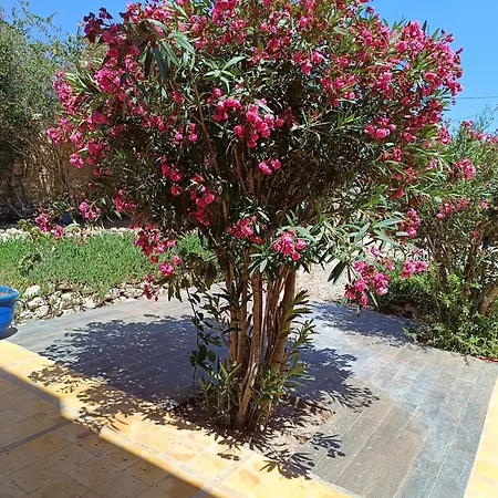 Apartamento L'Abri Cotier De Dar Nezza Sidi Kaouki Exterior foto