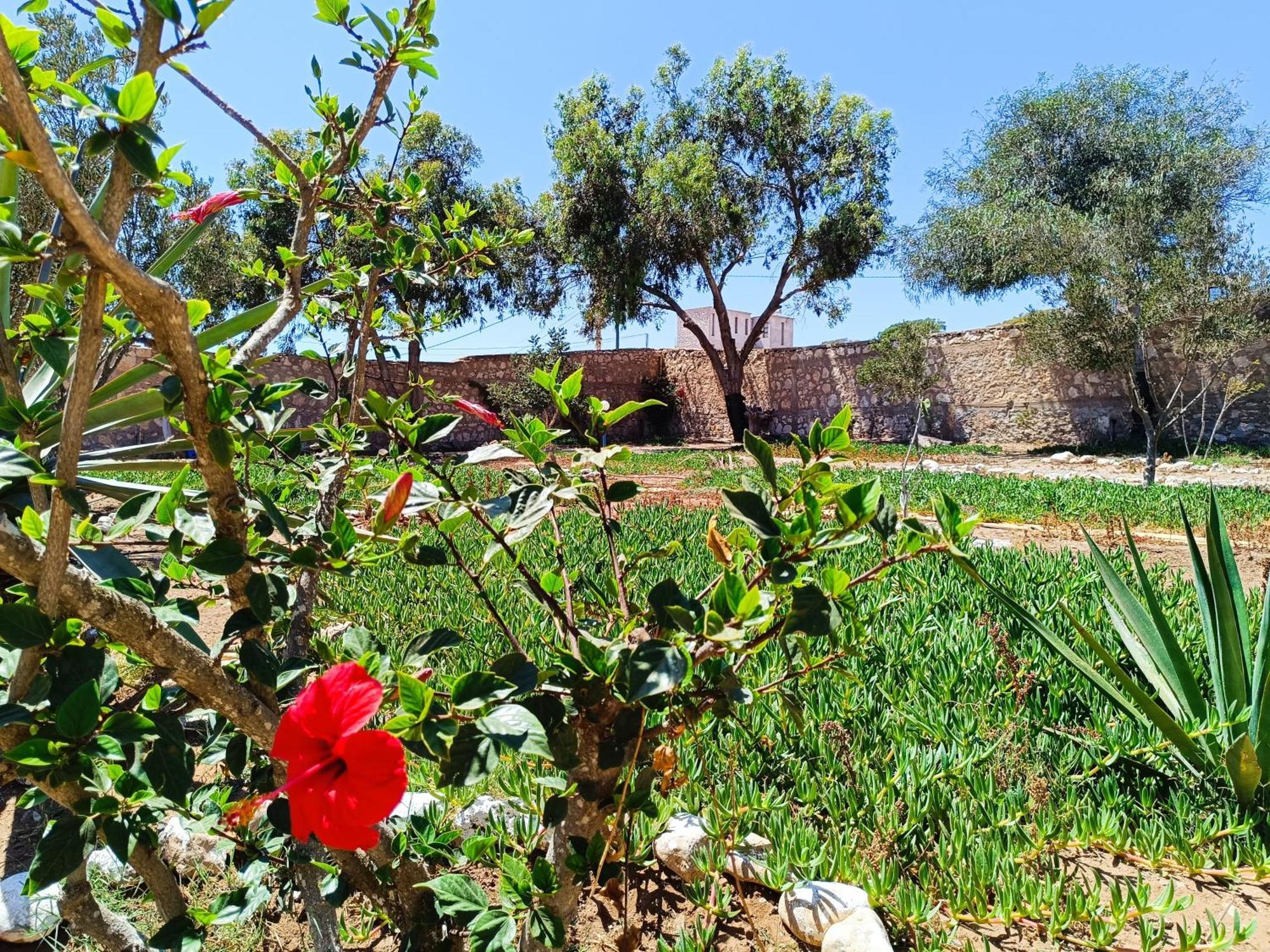 Dar Nezza * Sidi Kaouki